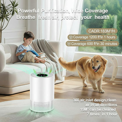 Compact Air Purifier H13 HEPA with Odor Filter PM2.5 Detection Low Noise for Home Use