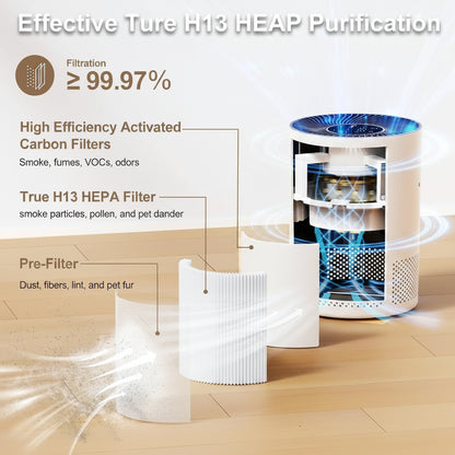Compact Air Purifier H13 HEPA with Odor Filter PM2.5 Detection Low Noise for Home Use